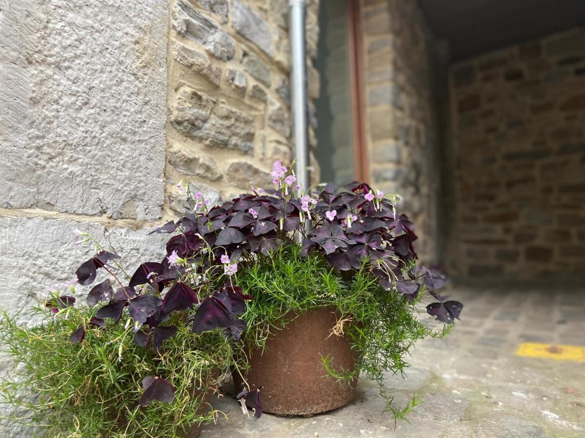 Apartmán Fenetre Sur Theux Exteriér fotografie